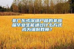 非广东或深圳户籍的非应届毕业生能通过什么方式成为编制教师？