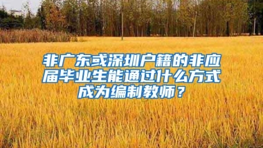 非广东或深圳户籍的非应届毕业生能通过什么方式成为编制教师？