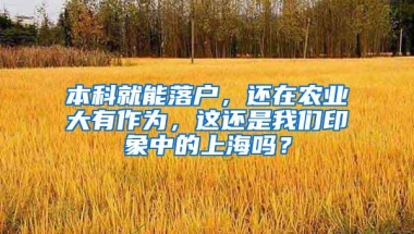 本科就能落户，还在农业大有作为，这还是我们印象中的上海吗？