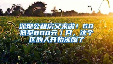 深圳公租房又来啦！60㎡低至800元／月，这个区的人开始沸腾了