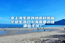 非上海生源外地高校应届毕业生落户上海需要办理哪些手续？