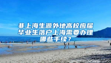 非上海生源外地高校应届毕业生落户上海需要办理哪些手续？