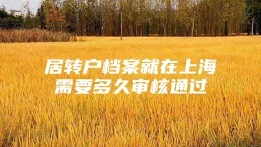 居转户档案就在上海需要多久审核通过