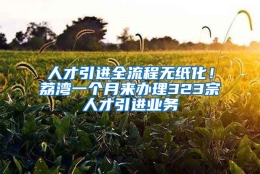 人才引进全流程无纸化！荔湾一个月来办理323宗人才引进业务