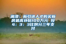 湘潭：新引进人才购买新房最高补贴100万元 按4：3：3比例分三年支付