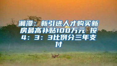 湘潭：新引进人才购买新房最高补贴100万元 按4：3：3比例分三年支付