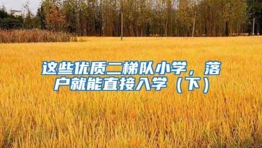 这些优质二梯队小学，落户就能直接入学（下）