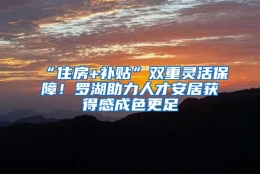 “住房+补贴”双重灵活保障！罗湖助力人才安居获得感成色更足