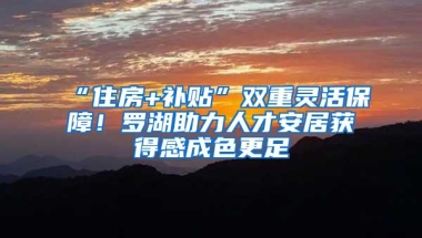 “住房+补贴”双重灵活保障！罗湖助力人才安居获得感成色更足