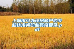 上海市可办理居转户的专业技术类职业资格目录.pdf