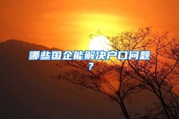 哪些国企能解决户口问题？