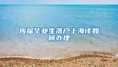 应届毕业生落户上海该如何办理