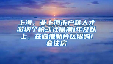 上海：非上海市户籍人才缴纳个税或社保满1年及以上，在临港新片区限购1套住房