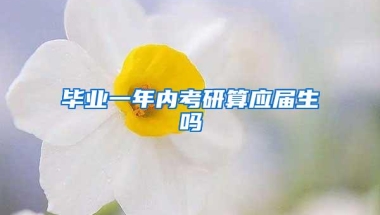 毕业一年内考研算应届生吗