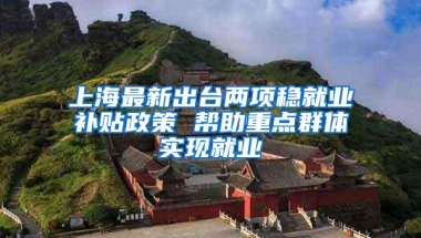 上海最新出台两项稳就业补贴政策 帮助重点群体实现就业