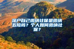 深户自己缴纳社保是缴纳五险吗？个人如何缴纳社保？