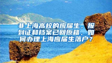 非上海高校的应届生，报到证和档案已回原籍，如何办理上海应届生落户？