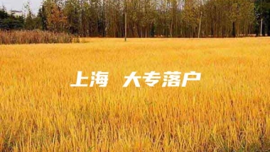 上海 大专落户