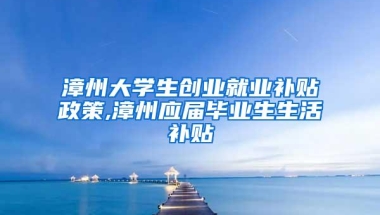 漳州大学生创业就业补贴政策,漳州应届毕业生生活补贴