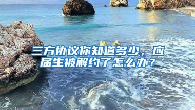 三方协议你知道多少，应届生被解约了怎么办？