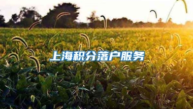 上海积分落户服务