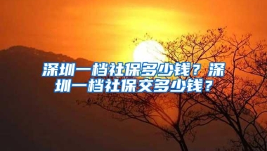 深圳一档社保多少钱？深圳一档社保交多少钱？