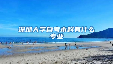 深圳大学自考本科有什么专业