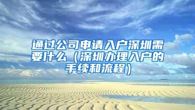 通过公司申请入户深圳需要什么（深圳办理入户的手续和流程）