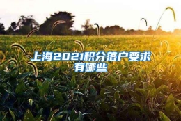 上海2021积分落户要求有哪些