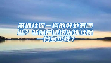 深圳社保一档的好处有哪些？非深户缴纳深圳社保一档多少钱？