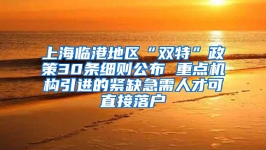 上海临港地区“双特”政策30条细则公布 重点机构引进的紧缺急需人才可直接落户