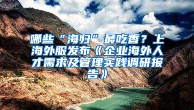 哪些“海归”最吃香？上海外服发布《企业海外人才需求及管理实践调研报告》