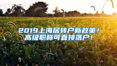 2019上海居转户新政策！高级职称可直接落户！