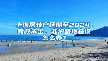 上海居转户延期至2024，新政未出，非沪籍现在该怎么办？