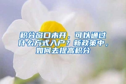 积分窗口未开，可以通过什么方式入户？新政策中，如何去提高积分