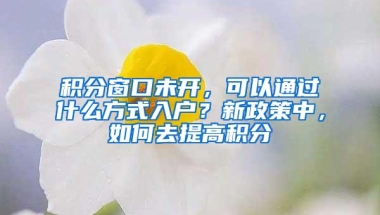 积分窗口未开，可以通过什么方式入户？新政策中，如何去提高积分