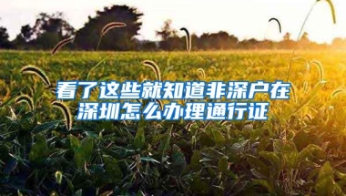 看了这些就知道非深户在深圳怎么办理通行证