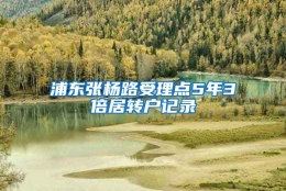 浦东张杨路受理点5年3倍居转户记录