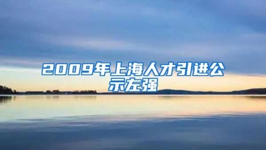 2009年上海人才引进公示左强