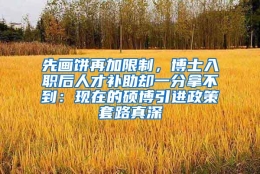 先画饼再加限制，博士入职后人才补助却一分拿不到：现在的硕博引进政策套路真深