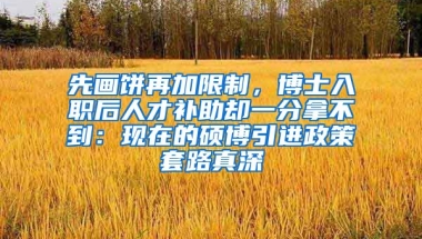 先画饼再加限制，博士入职后人才补助却一分拿不到：现在的硕博引进政策套路真深