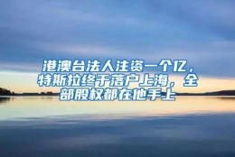 港澳台法人注资一个亿，特斯拉终于落户上海，全部股权都在他手上