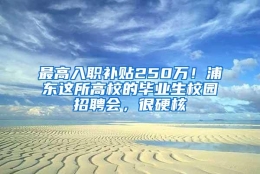 最高入职补贴250万！浦东这所高校的毕业生校园招聘会，很硬核