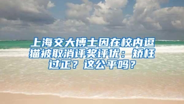 上海交大博士因在校内逗猫被取消评奖评优：矫枉过正？这公平吗？