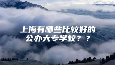 上海有哪些比较好的公办大专学校？？