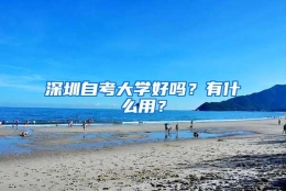 深圳自考大学好吗？有什么用？