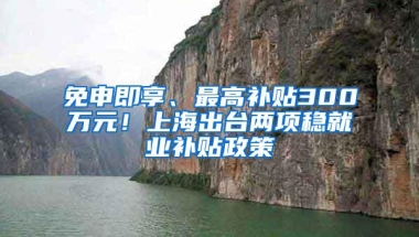 免申即享、最高补贴300万元！上海出台两项稳就业补贴政策