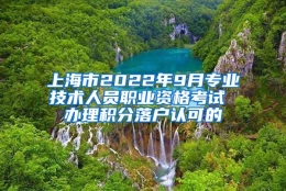 上海市2022年9月专业技术人员职业资格考试 办理积分落户认可的