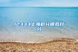 12333上海积分模拟打分