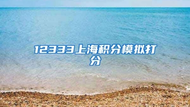 12333上海积分模拟打分